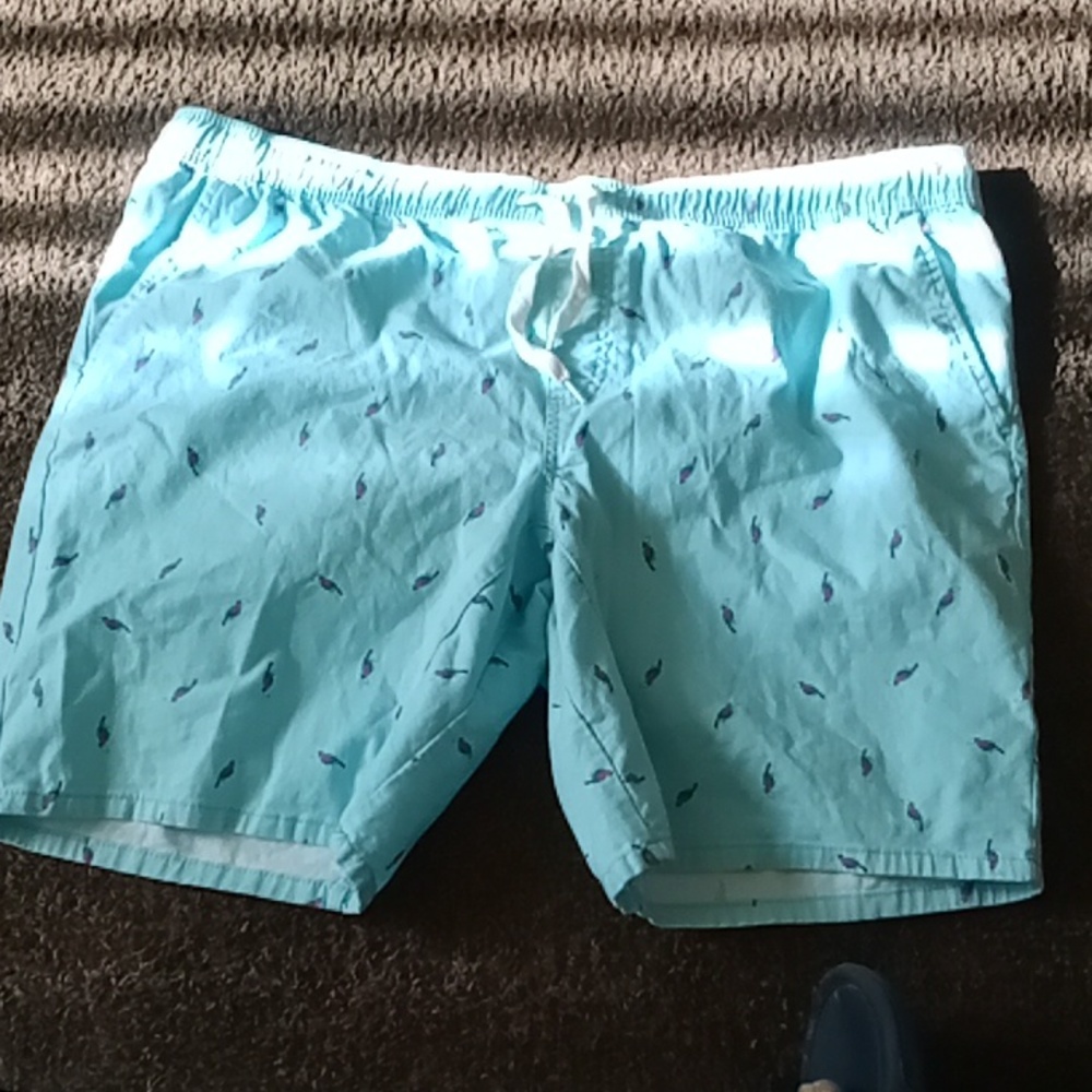 Men's Flamingo Printed Shorts